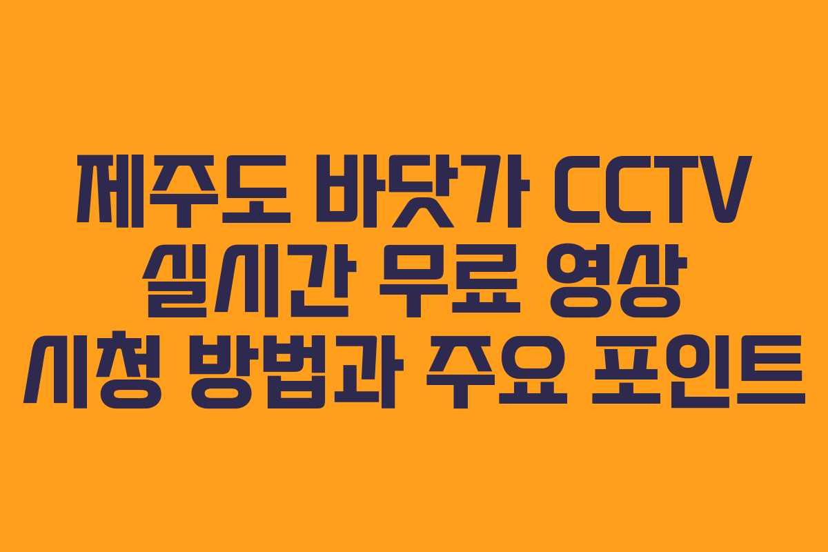 제주도 바닷가 CCTV 실시간 무료 영상 시청 방법과 주요 포인트