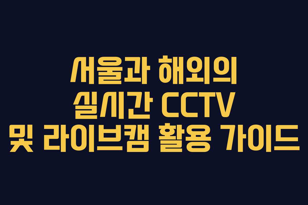 서울과 해외의 실시간 CCTV 및 라이브캠 활용 가이드