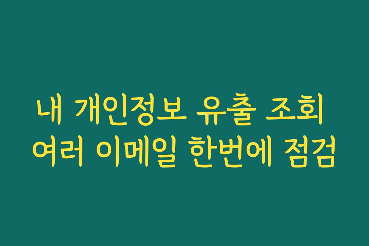 내 개인정보 유출 조회 여러 이메일 한번에 점검