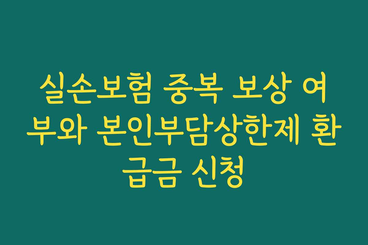 실손보험 중복 보상 여부와 본인부담상한제 환급금 신청
