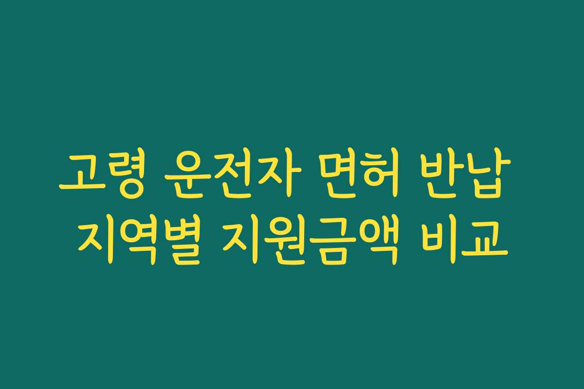 고령 운전자 면허 반납 지역별 지원금액 비교