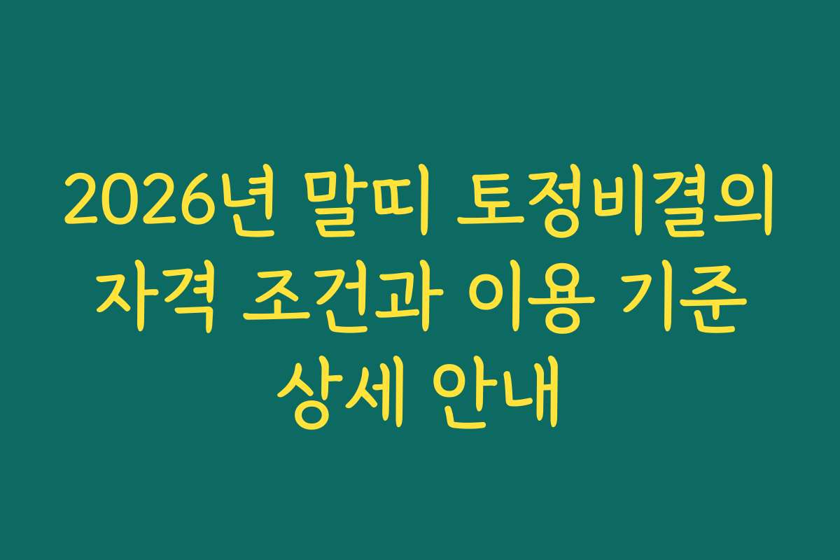 2026년 말띠 토정비결의 자격 조건과 이용 기준 상세 안내