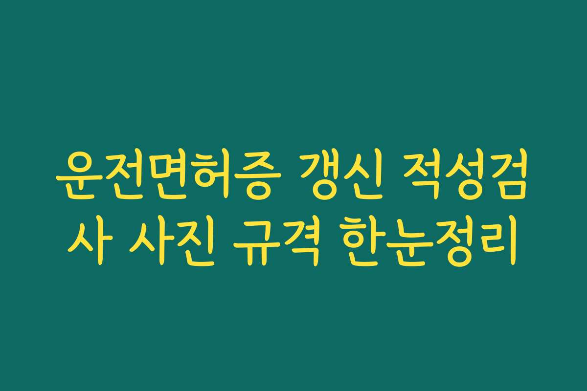 운전면허증 갱신 적성검사 사진 규격 한눈정리