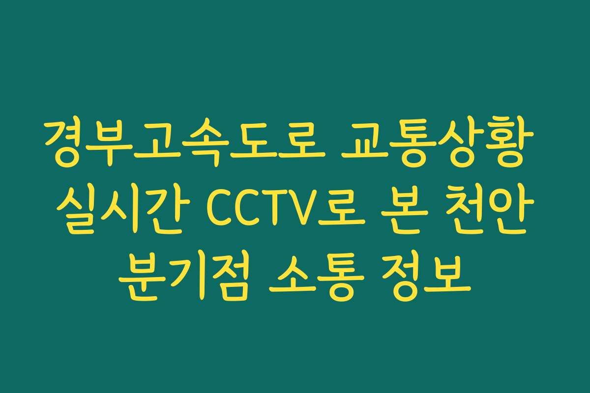 경부고속도로 교통상황 실시간 CCTV로 본 천안분기점 소통 정보