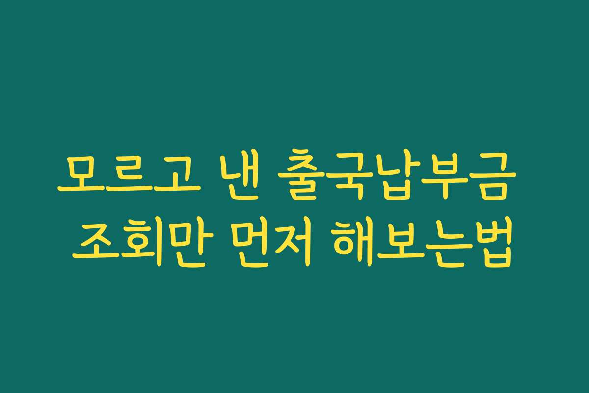 모르고 낸 출국납부금 조회만 먼저 해보는법