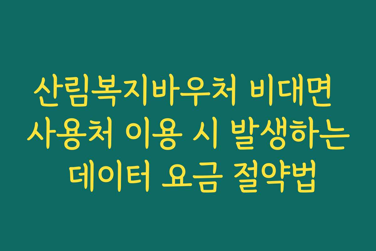 산림복지바우처 비대면 사용처 이용 시 발생하는 데이터 요금 절약법