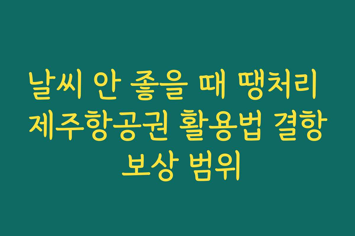 날씨 안 좋을 때 땡처리 제주항공권 활용법 결항 보상 범위
