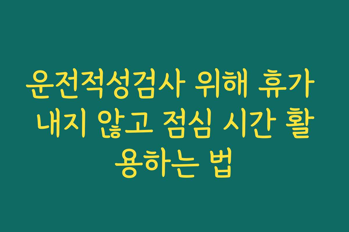 운전적성검사 위해 휴가 내지 않고 점심 시간 활용하는 법