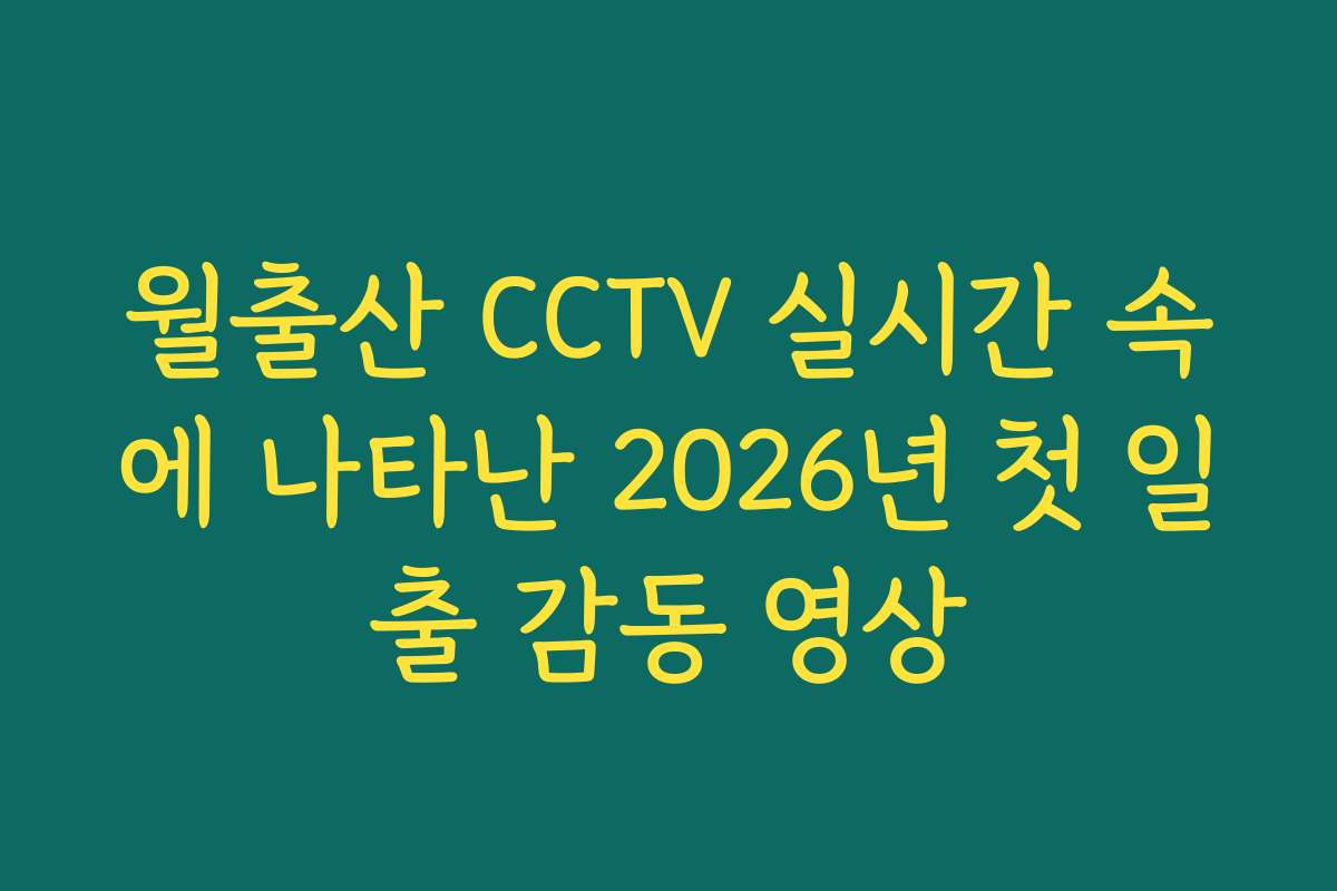 월출산 CCTV 실시간 속에 나타난 2026년 첫 일출 감동 영상