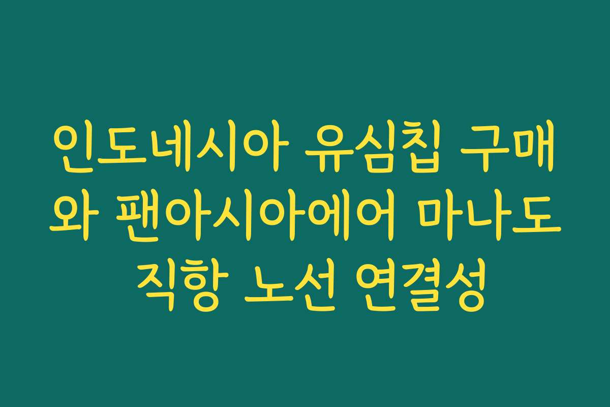 인도네시아 유심칩 구매와 팬아시아에어 마나도 직항 노선 연결성