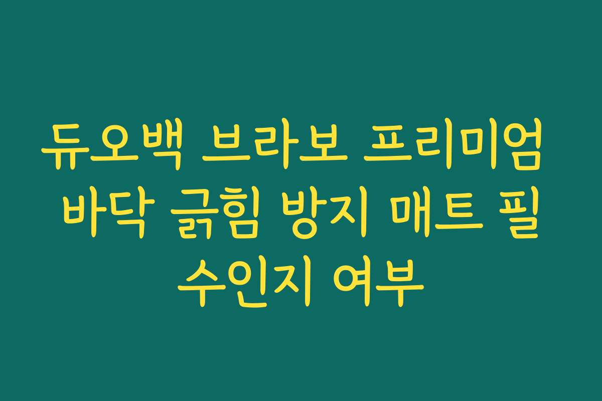 듀오백 브라보 프리미엄 바닥 긁힘 방지 매트 필수인지 여부