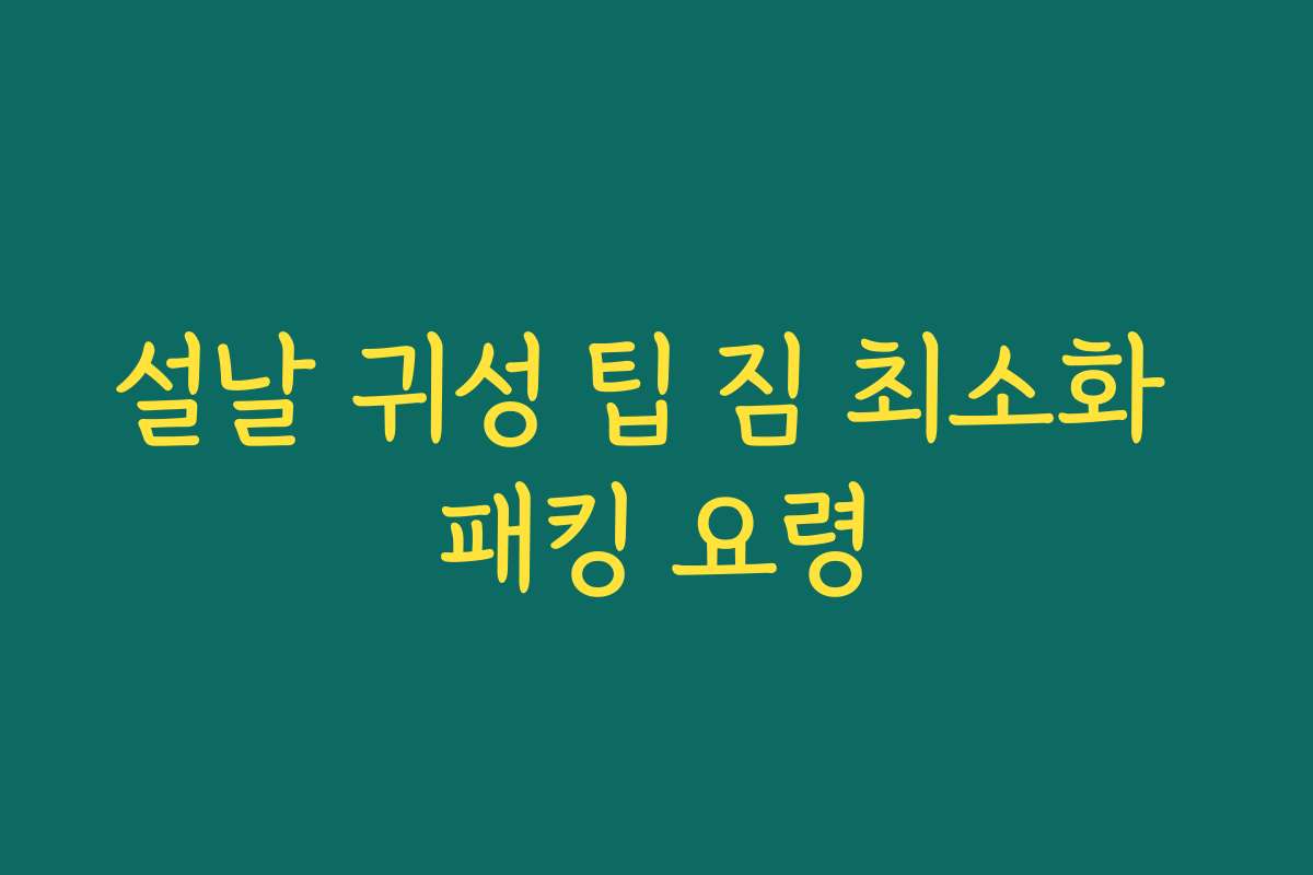 설날 귀성 팁 짐 최소화 패킹 요령