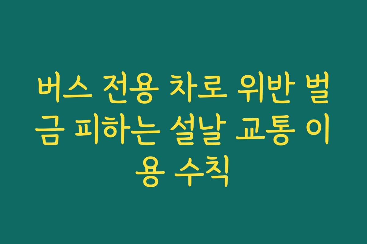 버스 전용 차로 위반 벌금 피하는 설날 교통 이용 수칙