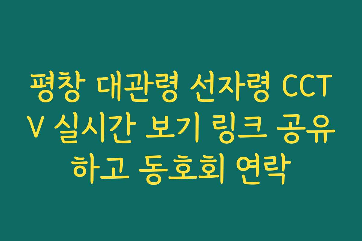 평창 대관령 선자령 CCTV 실시간 보기 링크 공유하고 동호회 연락
