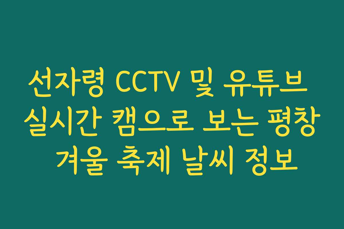 선자령 CCTV 및 유튜브 실시간 캠으로 보는 평창 겨울 축제 날씨 정보