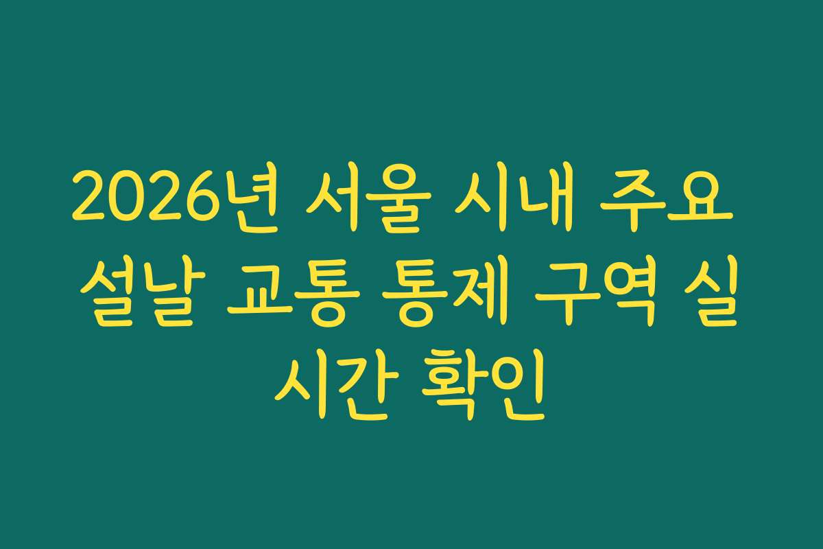 2026년 서울 시내 주요 설날 교통 통제 구역 실시간 확인