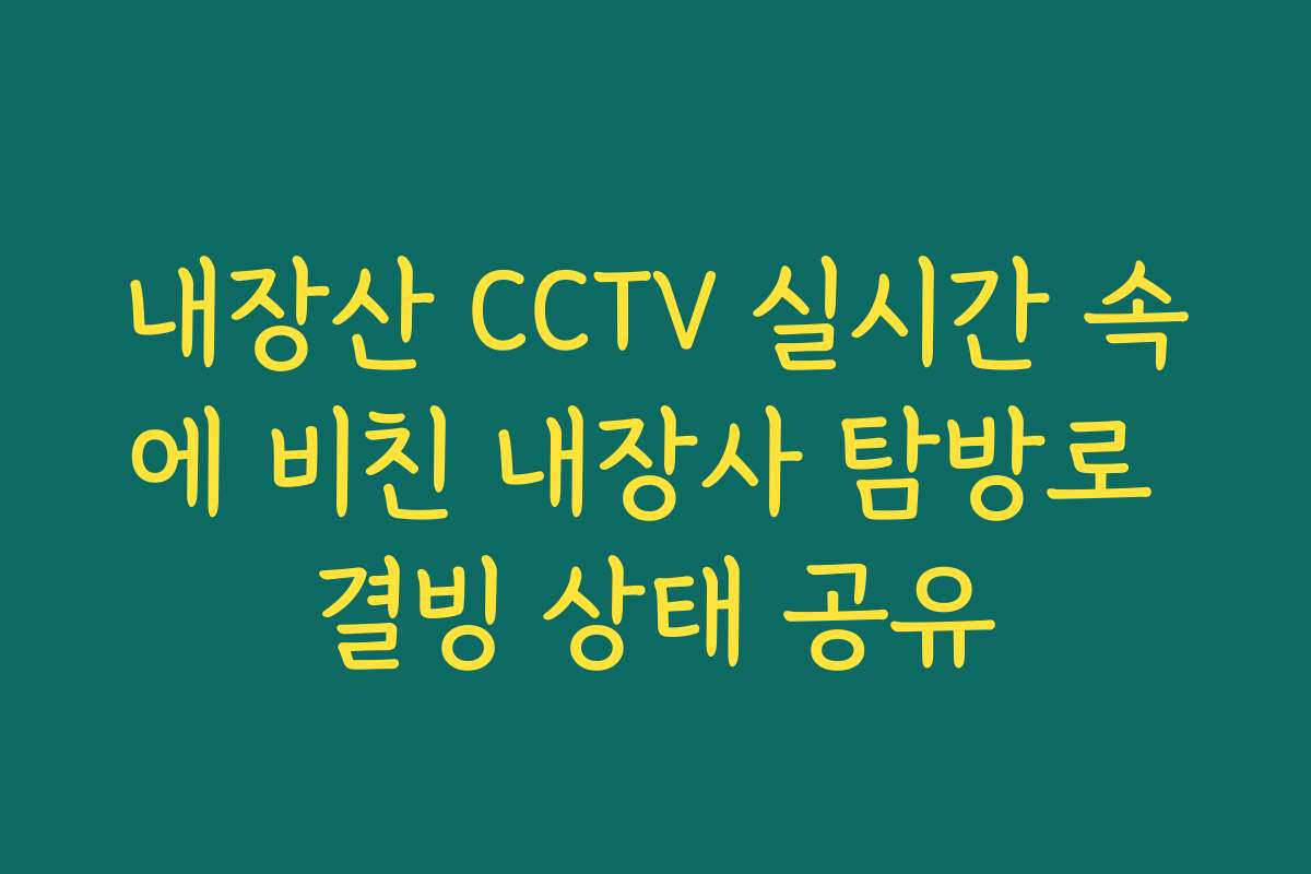 내장산 CCTV 실시간 속에 비친 내장사 탐방로 결빙 상태 공유