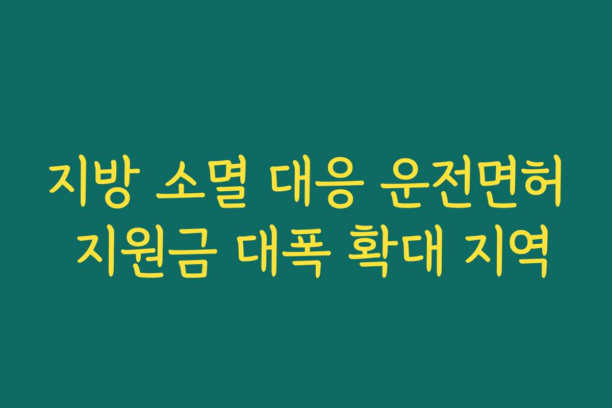 지방 소멸 대응 운전면허 지원금 대폭 확대 지역