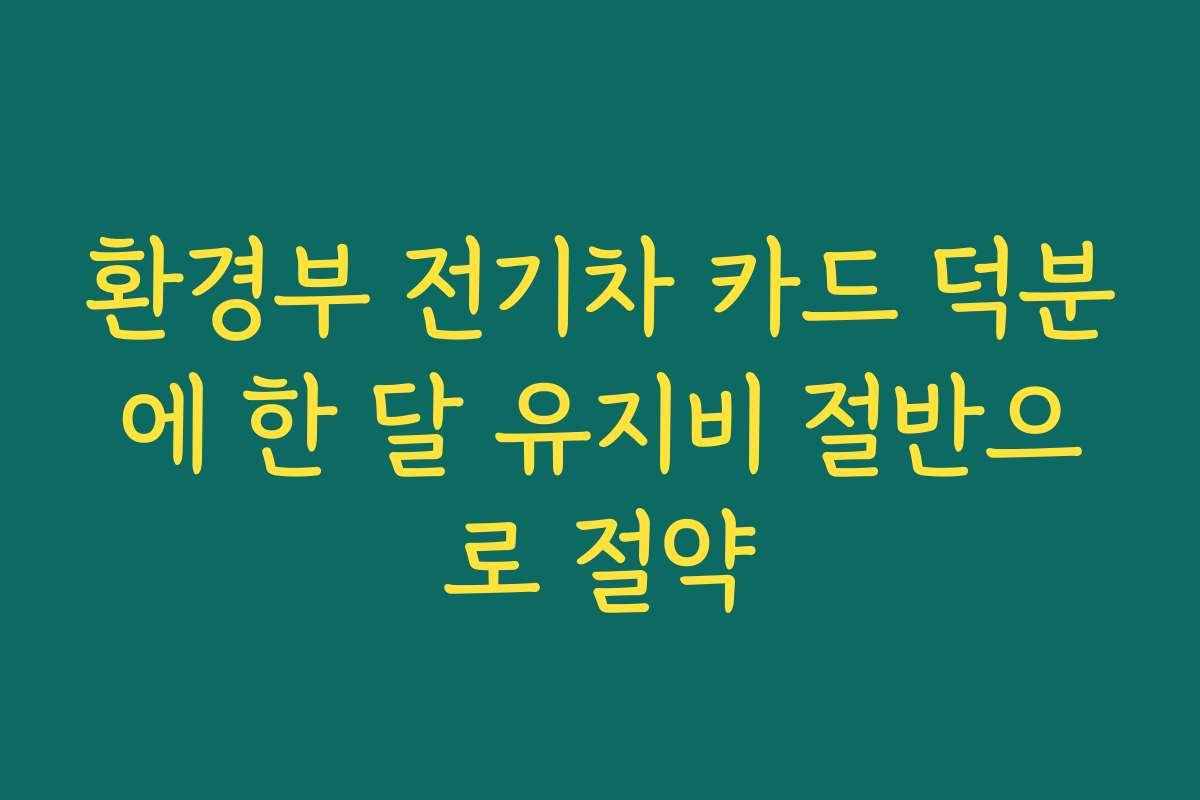 환경부 전기차 카드 덕분에 한 달 유지비 절반으로 절약