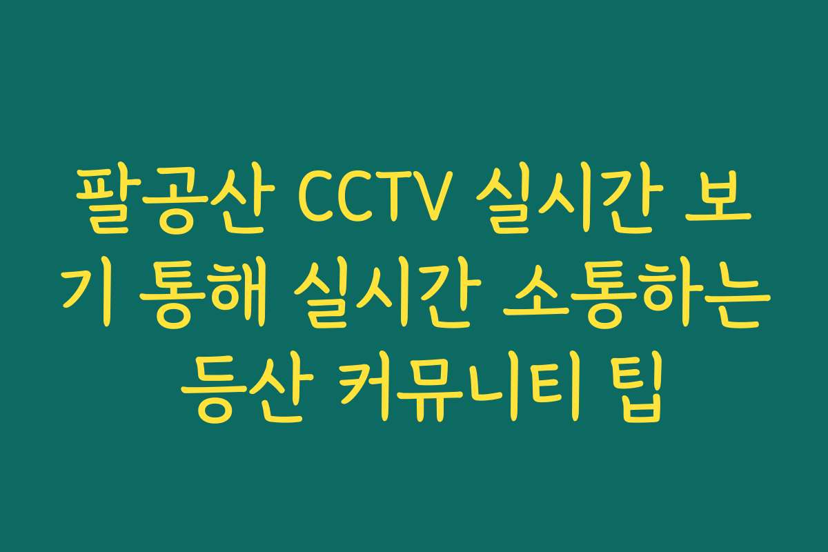 팔공산 CCTV 실시간 보기 통해 실시간 소통하는 등산 커뮤니티 팁