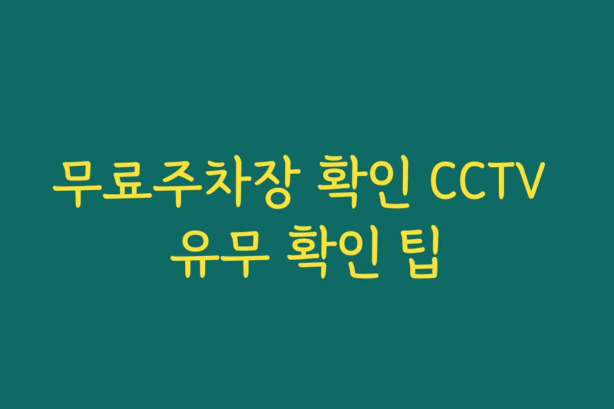 무료주차장 확인 CCTV 유무 확인 팁