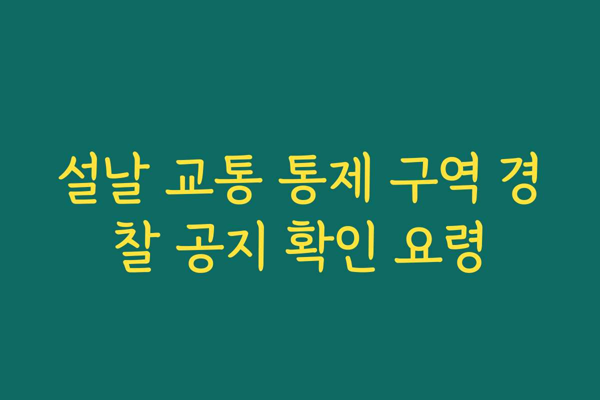 설날 교통 통제 구역 경찰 공지 확인 요령