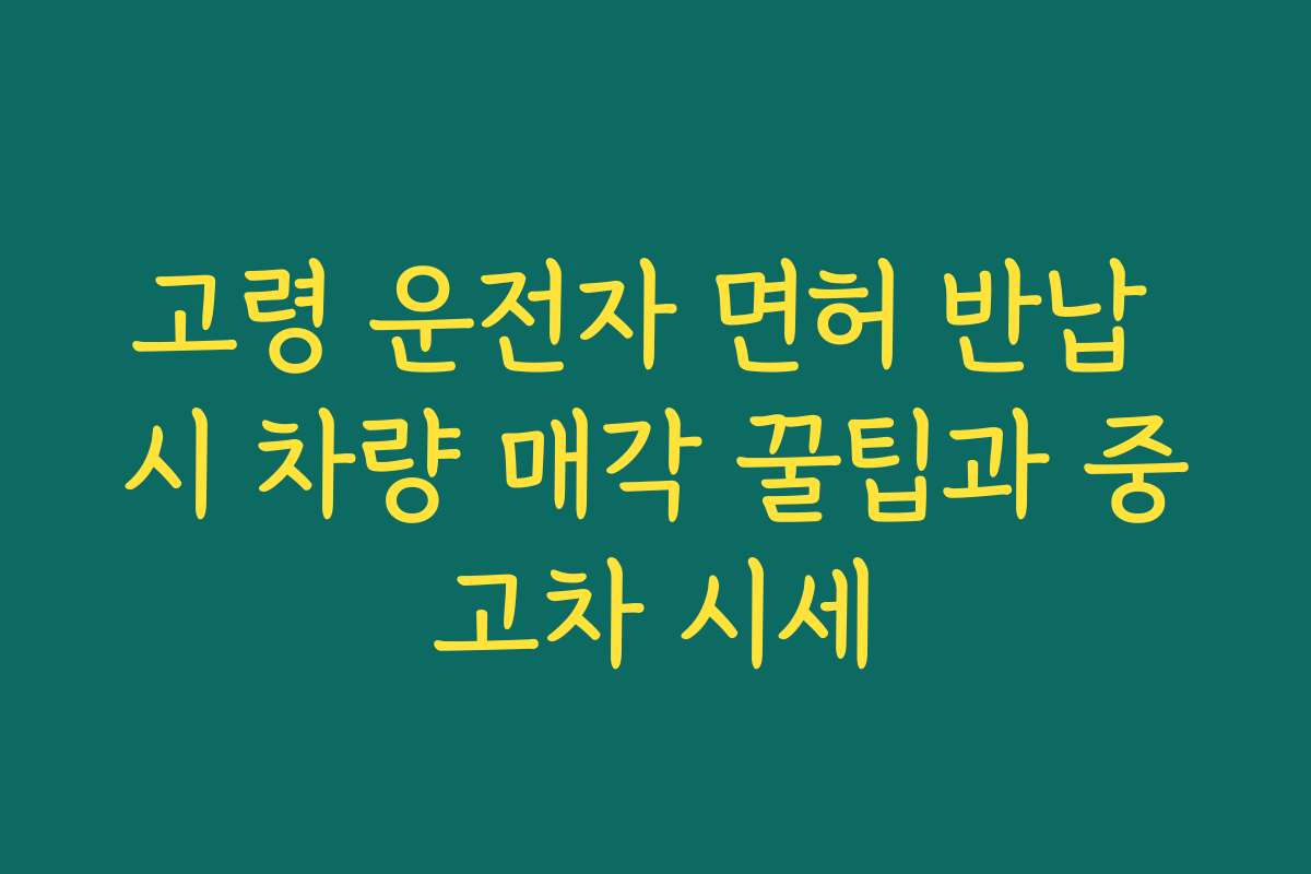 고령 운전자 면허 반납 시 차량 매각 꿀팁과 중고차 시세