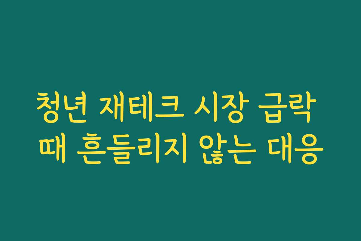 청년 재테크 시장 급락 때 흔들리지 않는 대응