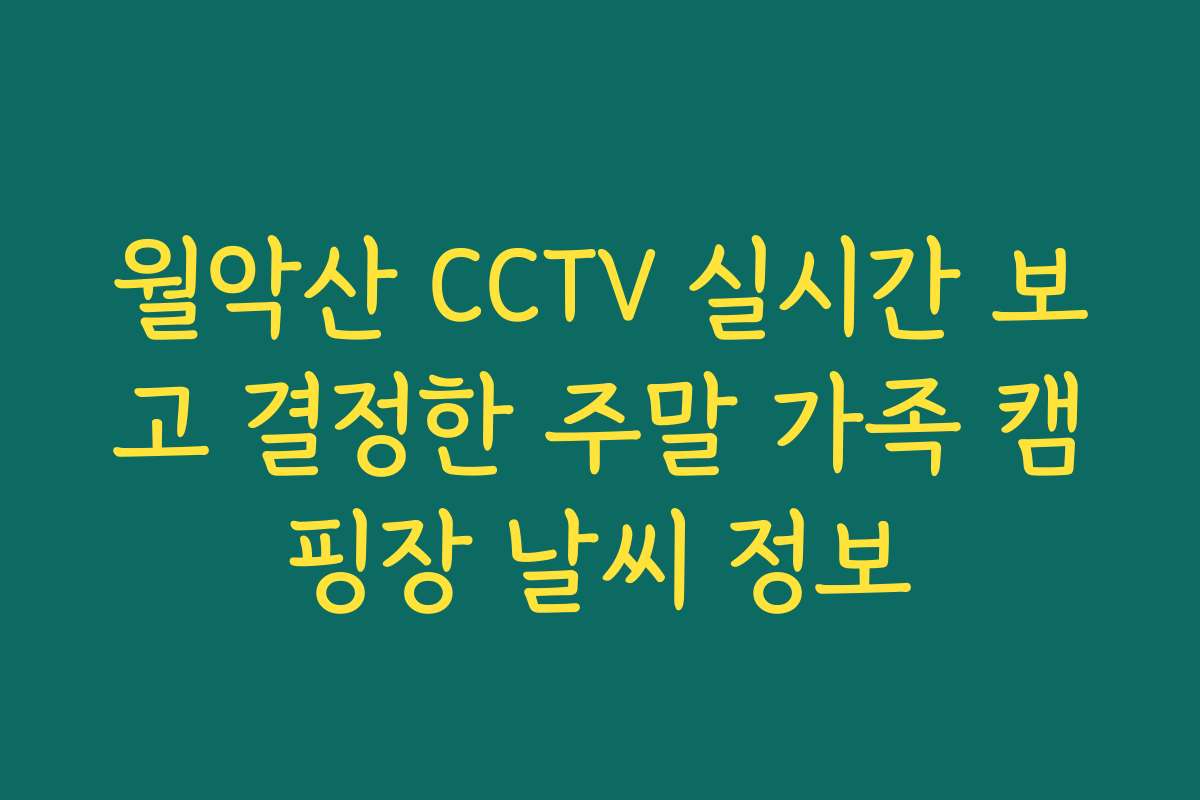 월악산 CCTV 실시간 보고 결정한 주말 가족 캠핑장 날씨 정보