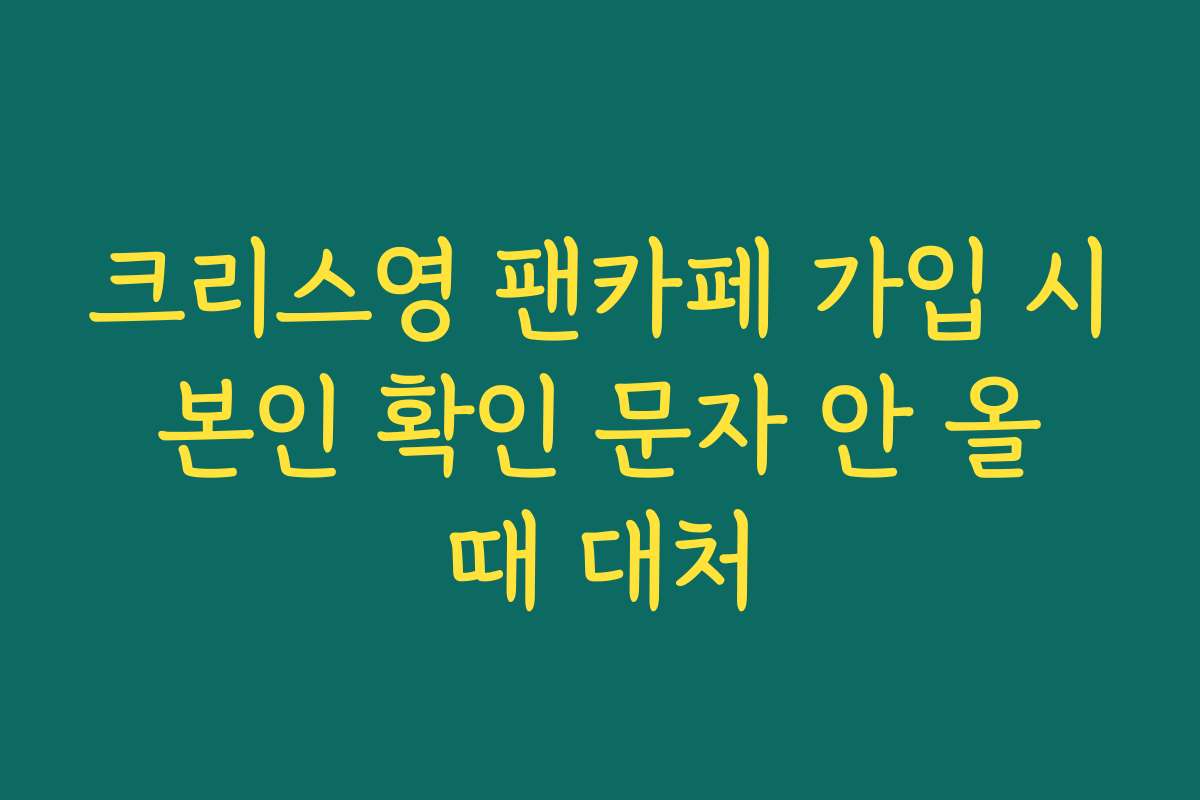 크리스영 팬카페 가입 시 본인 확인 문자 안 올 때 대처