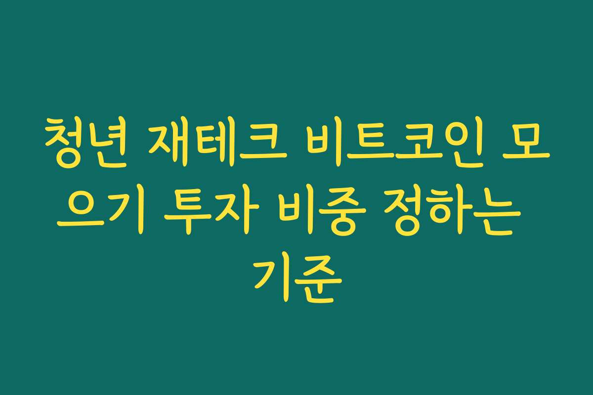 청년 재테크 비트코인 모으기 투자 비중 정하는 기준