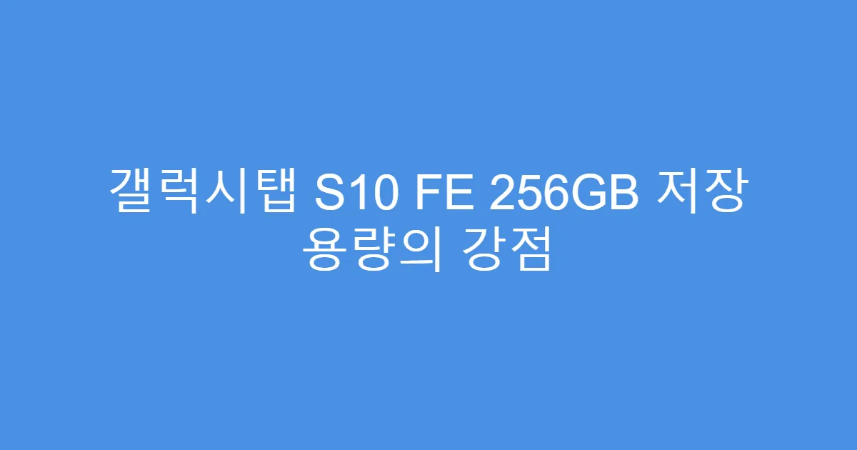 갤럭시탭 S10 FE 256GB 저장 용량의 강점