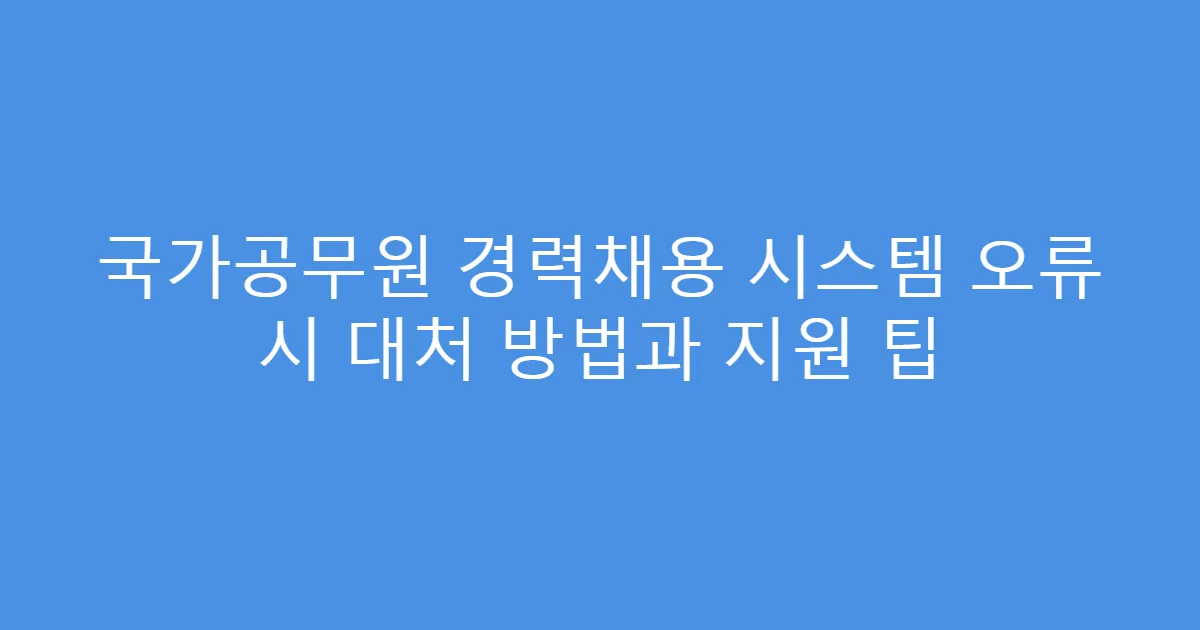 국가공무원 경력채용 시스템 오류 시 대처 방법과 지원 팁