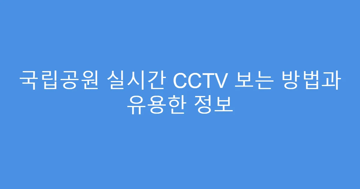 국립공원 실시간 CCTV 보는 방법과 유용한 정보