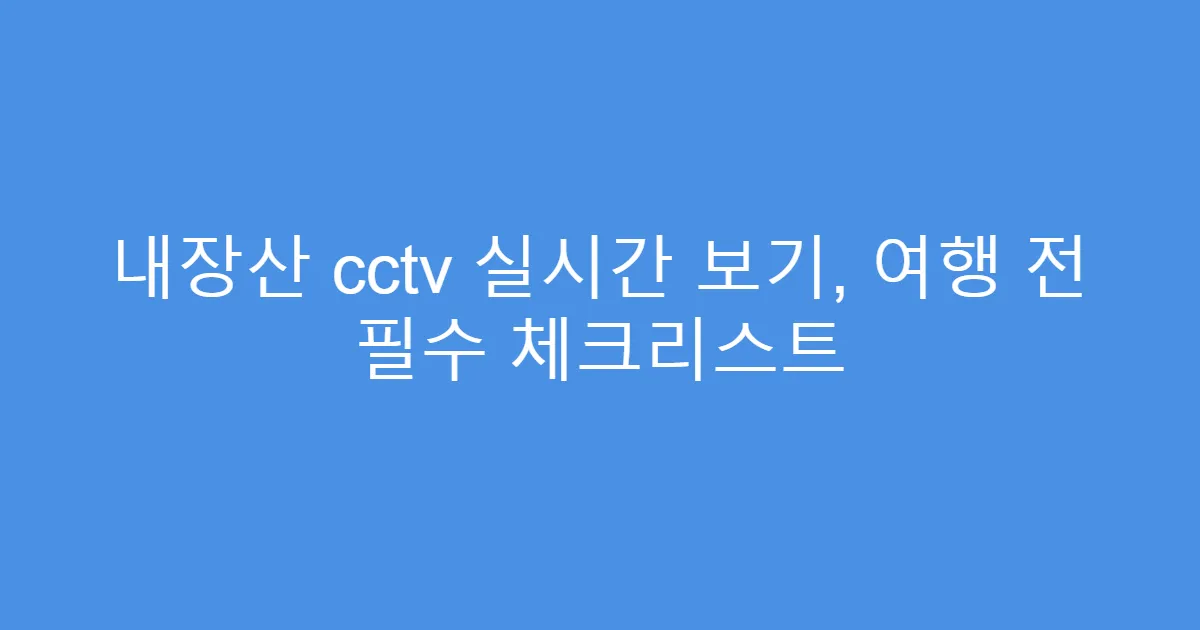 내장산 cctv 실시간 보기, 여행 전 필수 체크리스트