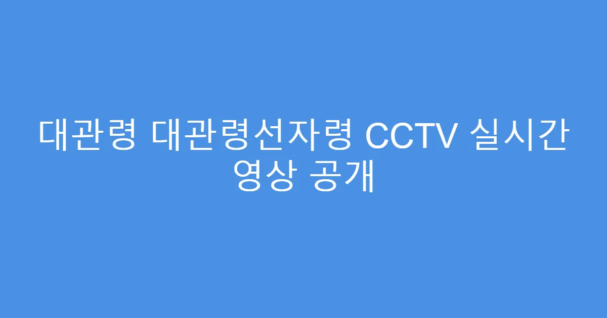 대관령 대관령선자령 CCTV 실시간 영상 공개
