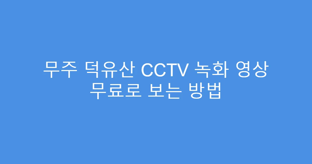 무주 덕유산 CCTV 녹화 영상 무료로 보는 방법