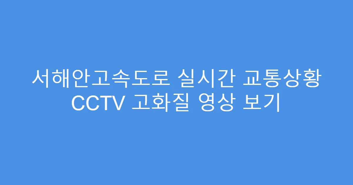 서해안고속도로 실시간 교통상황 CCTV 고화질 영상 보기