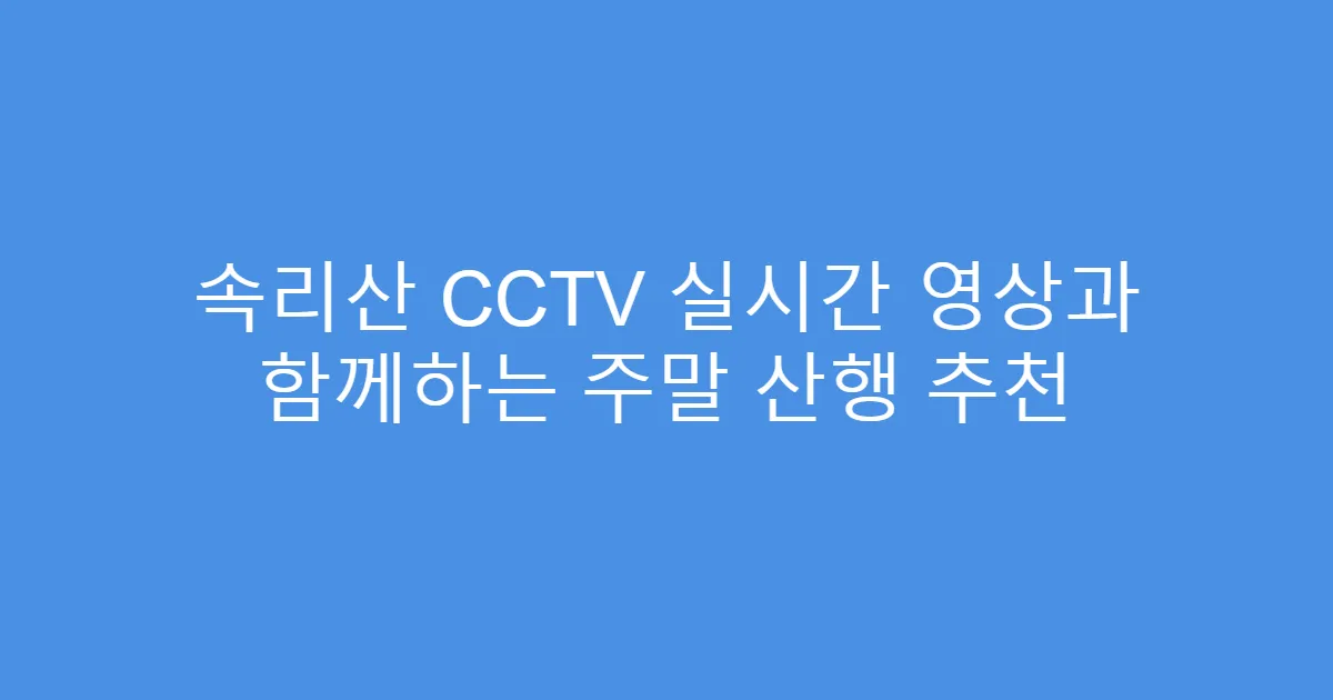 속리산 CCTV 실시간 영상과 함께하는 주말 산행 추천