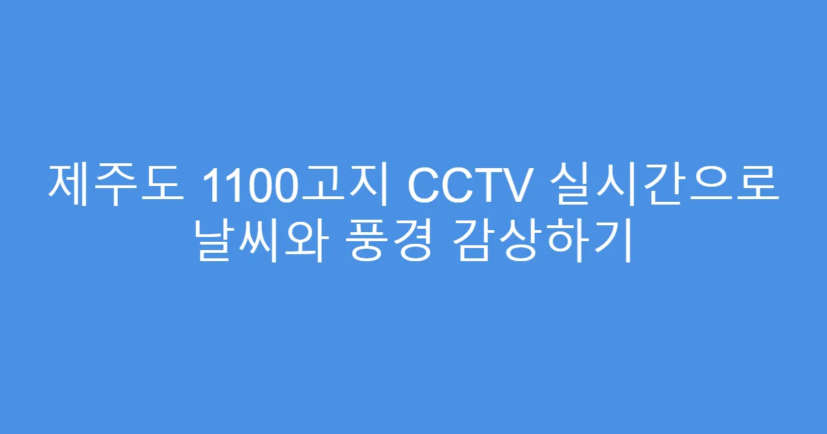 제주도 1100고지 CCTV 실시간으로 날씨와 풍경 감상하기