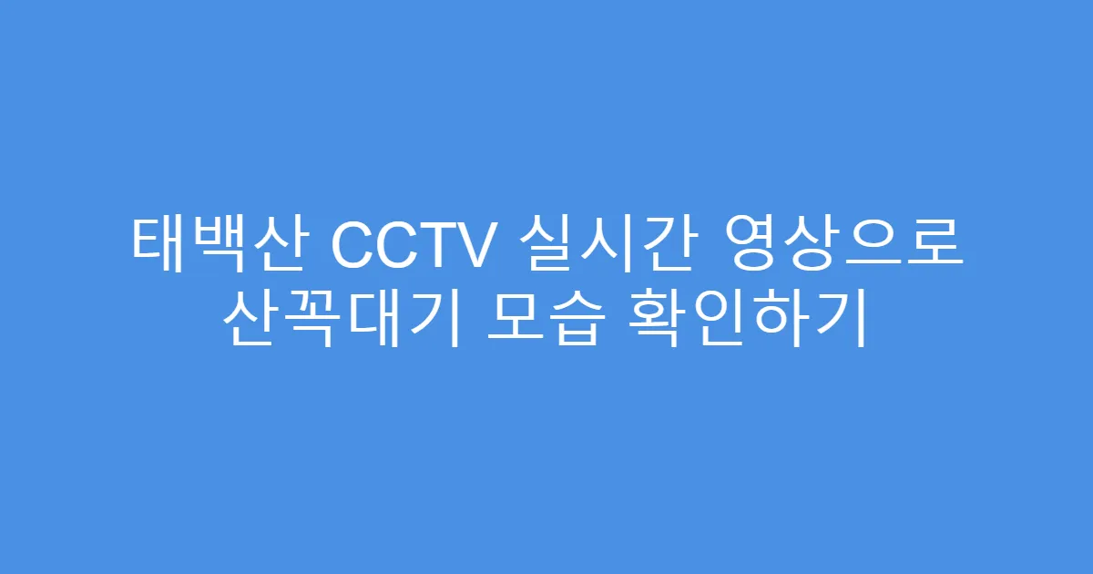 태백산 CCTV 실시간 영상으로 산꼭대기 모습 확인하기