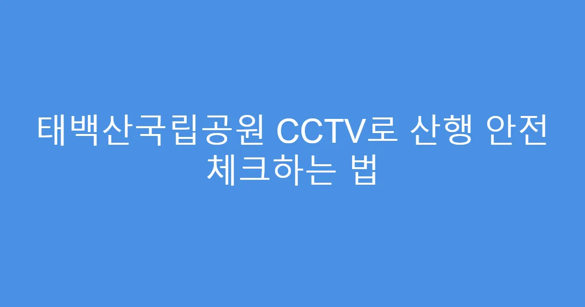 태백산국립공원 CCTV로 산행 안전 체크하는 법