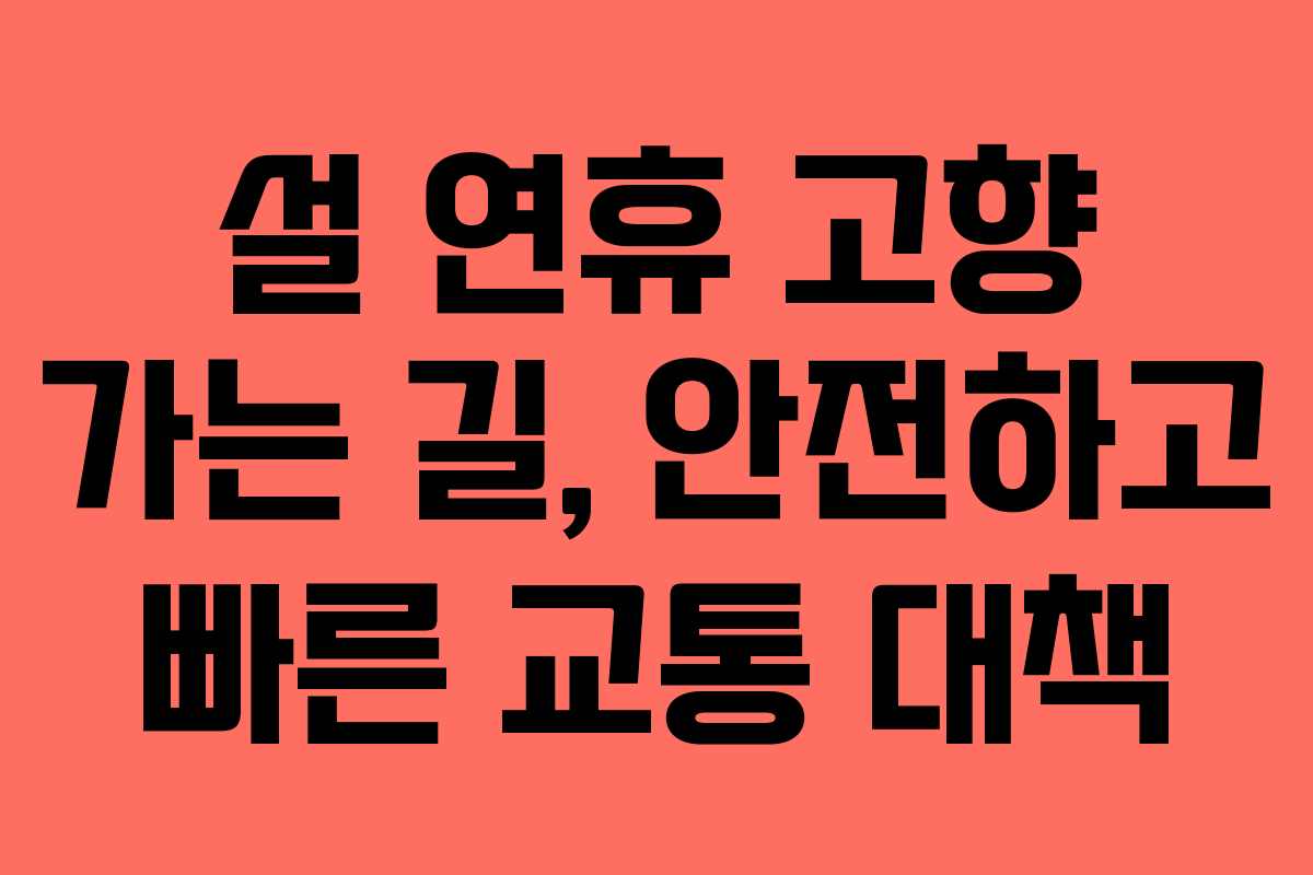 설 연휴 고향 가는 길, 안전하고 빠른 교통 대책