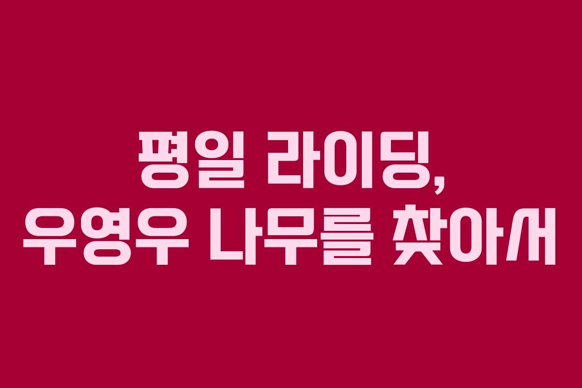 평일 라이딩, 우영우 나무를 찾아서