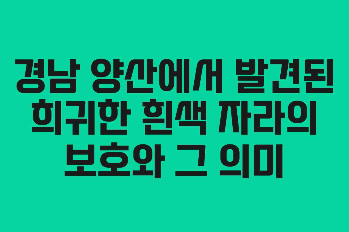 경남 양산에서 발견된 희귀한 흰색 자라의 보호와 그 의미