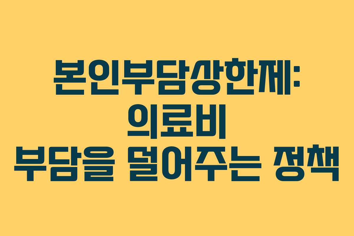 본인부담상한제: 의료비 부담을 덜어주는 정책