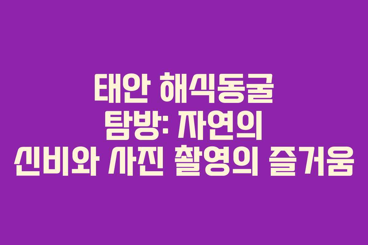 태안 해식동굴 탐방: 자연의 신비와 사진 촬영의 즐거움
