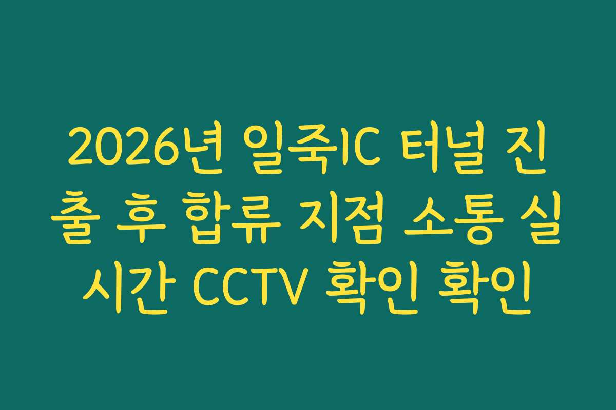 2026년 일죽IC 터널 진출 후 합류 지점 소통 실시간 CCTV 확인 확인