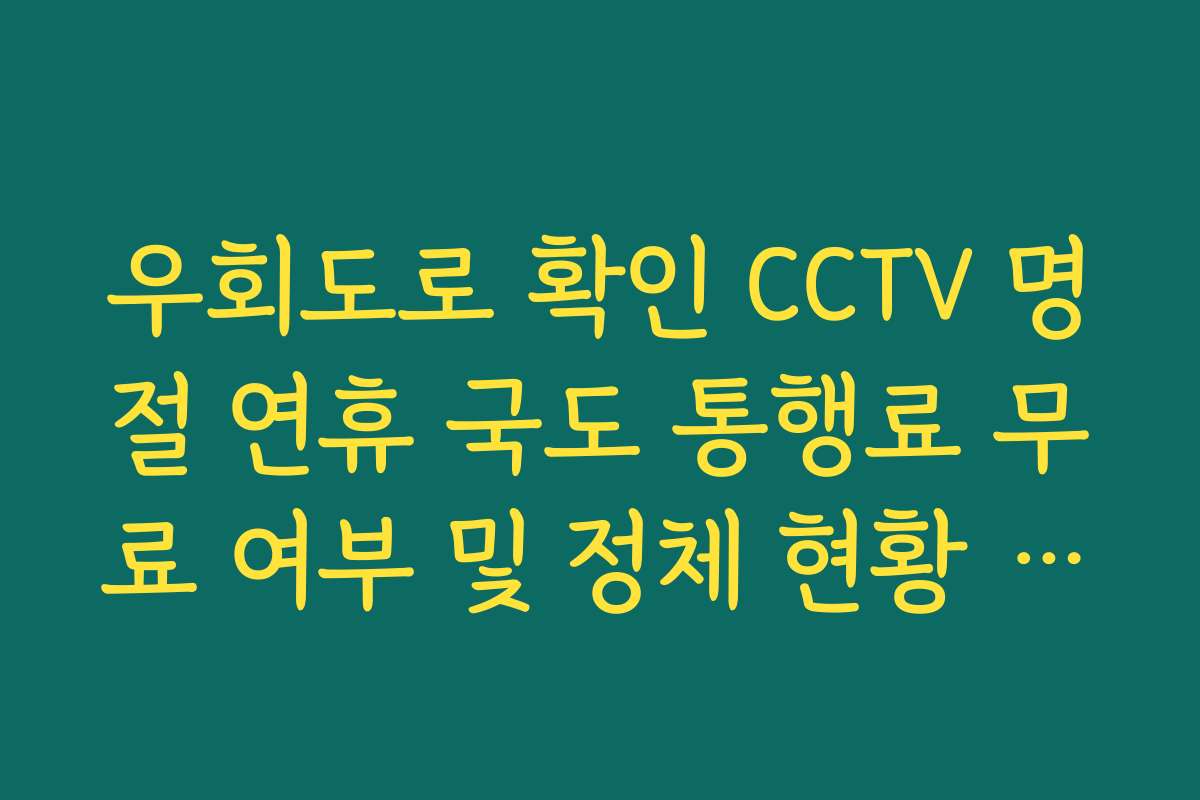 우회도로 확인 CCTV 명절 연휴 국도 통행료 무료 여부 및 정체 현황 보기