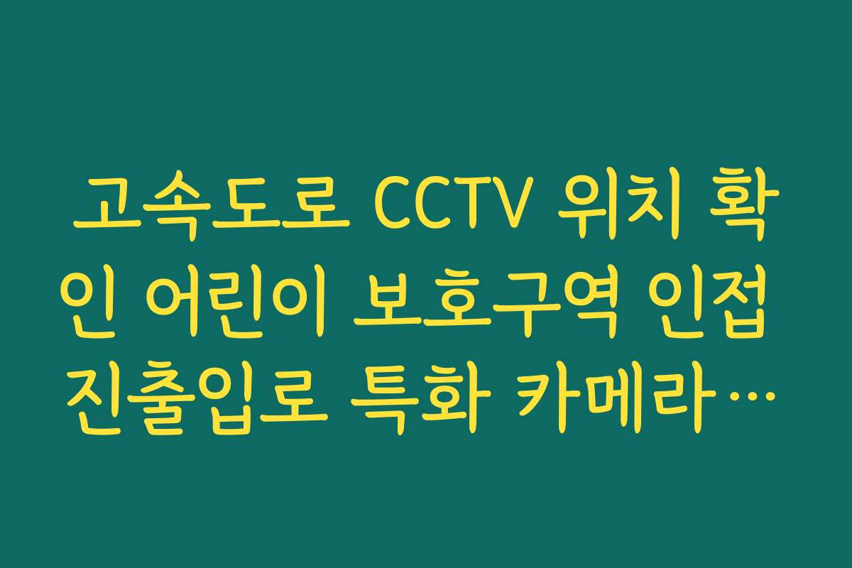 고속도로 CCTV 위치 확인 어린이 보호구역 인접 진출입로 특화 카메라 조회